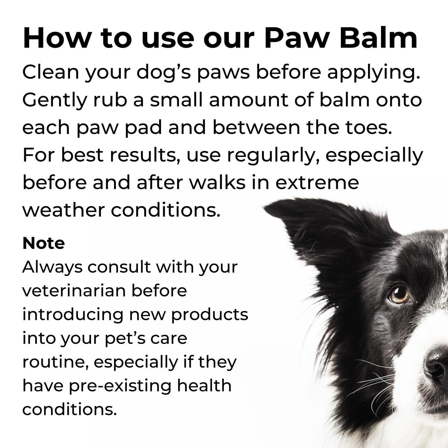 Mint Dog Paw Balm Tube | Handcrafted Dog Paw Balm made with Beeswax and Vitamin E to moisturize and soothe | Mint | 2 oz cardboard push tube