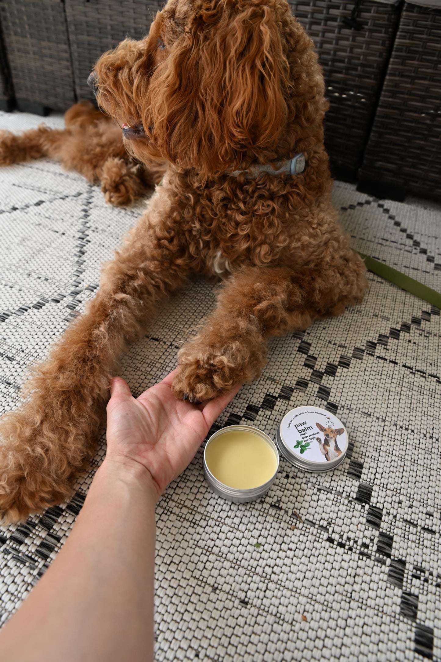 Mint Dog Paw Balm | Handcrafted Dog Paw Balm made with Beeswax, Vitamin E and Mint Essential Oil to moisturize and soothe | Mint | 1 oz. tin